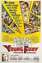 John Agar, William Bendix, Lon Chaney Jr., Rory Calhoun, Richard Arlen, Linda Foster, Virginia Mayo, and Regis Parton in Young Fury (1964)