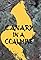 Canary in a Coal Mine's primary photo