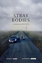 Stray Bodies (2024)