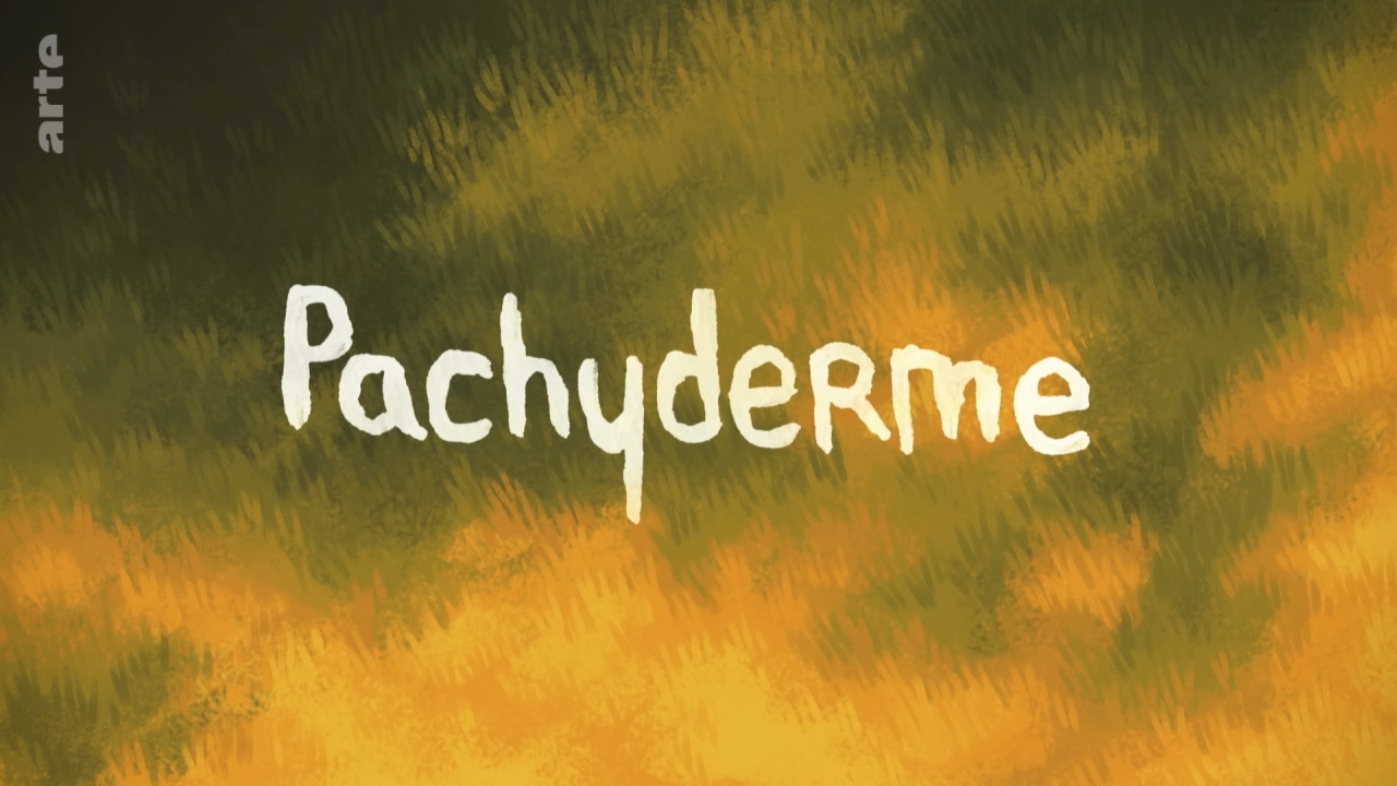 Pachyderme (2022)