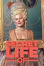 Secret Life of... (2012)