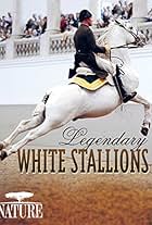 Legendary White Stallions (2013)