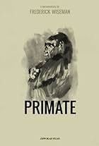 Primate