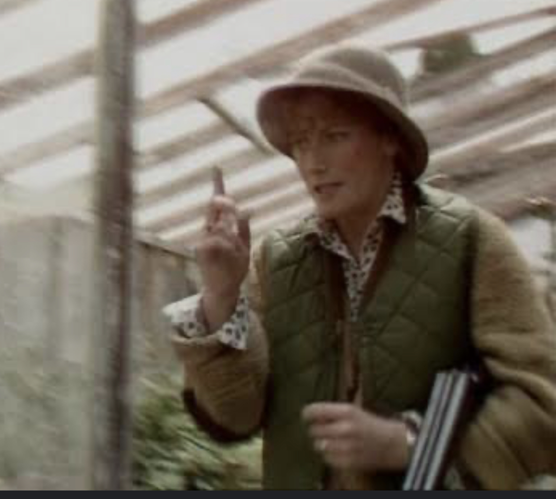 Geraldine James in Blott on the Landscape (1985)