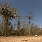 David Attenborough in Madagascar (2011)