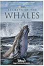 Secrets of the Whales (2021)