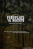 Fireflies at El Mozote