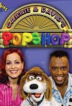 Carrie and David's Pop Shop (2008)