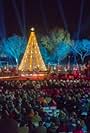 The National Christmas Tree Lighting (2018)