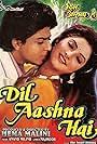 Divya Bharti and Shah Rukh Khan in Dil Aashna Hai (...The Heart Knows) (1992)