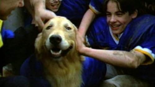 Air Bud: Golden Receiver