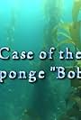 Case of the Sponge 'Bob' (2005)