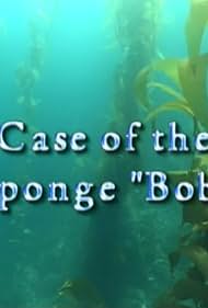 Case of the Sponge 'Bob' (2005)