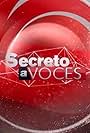 Secreto a Voces (2010)