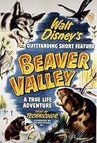 Beaver Valley