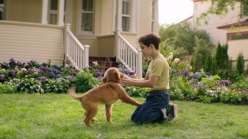 A Dog's Purpose: Bailey Learns His Place In The Pack