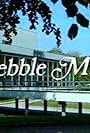 Pebble Mill at One (1972)