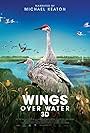 Wings Over Water (2022)