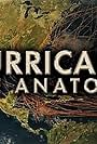 Hurricane the Anatomy (2014)