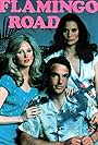 Flamingo Road (1980)