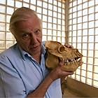 David Attenborough in Madagascar (2011)