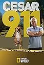 Cesar 911 (2014)