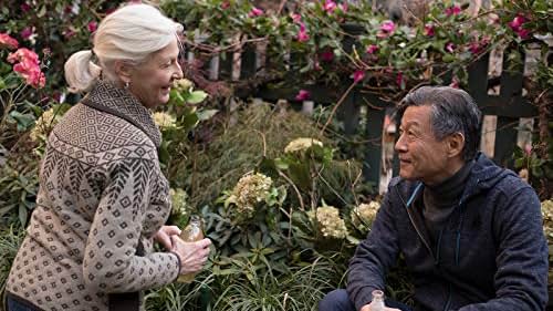 Jane Alexander and James Saito in Modern Love (2019)