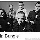 Mr. Bungle