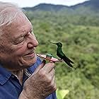 David Attenborough in Life in Colour (2021)