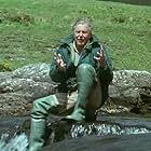 David Attenborough in The Trials of Life (1990)
