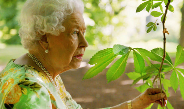 Queen Elizabeth II in The Queen's Green Planet (2018)