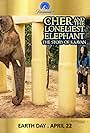 Cher in Cher and the Loneliest Elephant (2021)