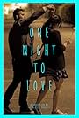 One Night to Love (2013)