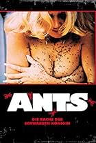 Ants!