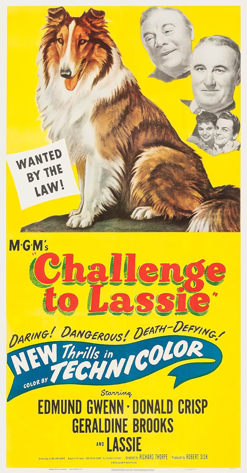 Geraldine Brooks, Donald Crisp, Ross Ford, Edmund Gwenn, and Pal in Challenge to Lassie (1949)