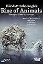 Rise of Animals: Triumph of the Vertebrates (2013)