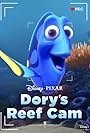 Dory's Reef Cam (2020)