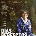 Perfect Days (2023)