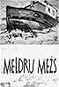 Meldru mezs (1971) Poster