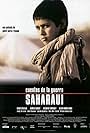 Cuentos de la guerra saharaui (2004)