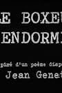 Un boxeur endormi (1993)