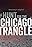 The Hunt for the Chicago Strangler