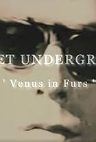 Venus in Furs