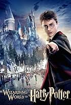 Harry Potter and the Forbidden Journey (2010)