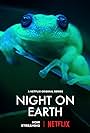 Night on Earth (2020)