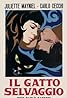 Il gatto selvaggio (1968) Poster