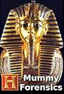 Mummy Forensics (2008)