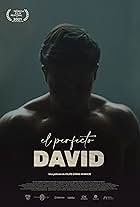 The Perfect David (2021)