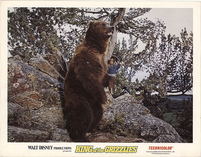 King of the Grizzlies (1970)