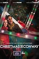 Andy Garcia and Mary-Louise Parker in Christmas in Conway (2013)